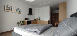 1 dormitorio con 1 cama y cocina. en Apartamenty przy Starówce, en Zamość