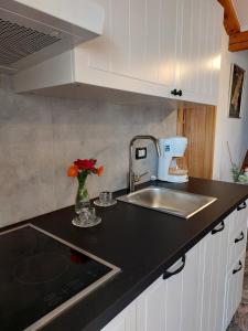 Kuchyň nebo kuchyňský kout v ubytování Guesthouse Mila