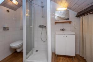 a bathroom with a shower and a toilet and a sink at Villa Julien in Saint-Julien-en-Born +22 photos