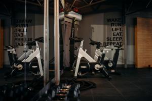Fitness centrum a/nebo fitness zařízení v ubytování Alpina Alpendorf
