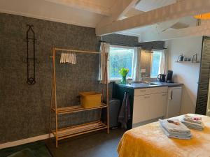 a kitchen with a sink and a shower in a room at Bommeltje Boven in Den Bommel