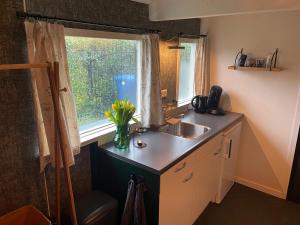 una cocina con fregadero y una ventana con flores en Bommeltje Boven 
