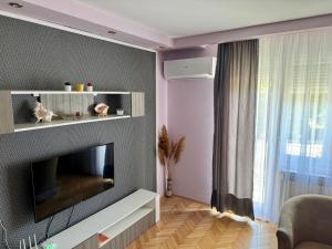 a living room with a flat screen tv on a wall at Apartman Tadeus in Soko Banja