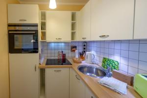 Küche/Küchenzeile in der Unterkunft Wohnpark Stadt Hamburg - Apt. 14