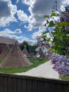 a group of tents in a yard with flowers at Kuckunniwi Tipidorf in Werder