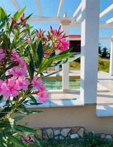 Gallery image of Platán Vendégház in Balatongyörök +66 photos