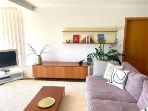 a living room with a purple couch and a tv at SONNENWEG Designwohnung mit Gartenblick in Plauen