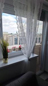 Posezení v ubytování Apartman u Zemunu