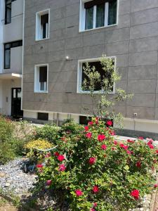 Vonkajšia záhrada v ubytovaní BeB via Sardegna