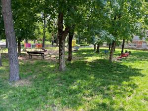 A garden outside BeB via Sardegna