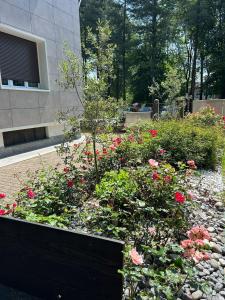 A garden outside BeB via Sardegna