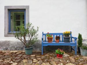 a blue bench with potted plants on it at Henye Vintage Home a Káli-medencében in Balatonhenye