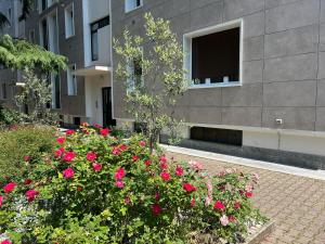 A garden outside BeB via Sardegna