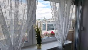Balkón nebo terasa v ubytování Apartman u Zemunu