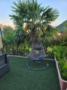 een schommel in een tuin met palmbomen en gras bij Lario House in Limonta