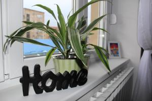Bazén v ubytování M&M Apartment nebo v jeho okolí