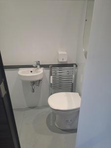 uma casa de banho com um WC e um lavatório em Celtic Minor Pods em Ystalyfera