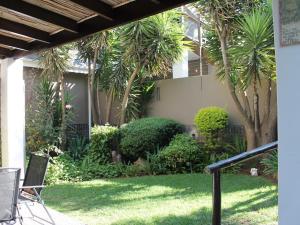a house with a yard with palm trees and grass at Wild Tree Lodge in Benoni