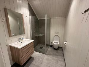 a bathroom with a shower and a sink and a toilet at Lofoten Panorama in Stamsund