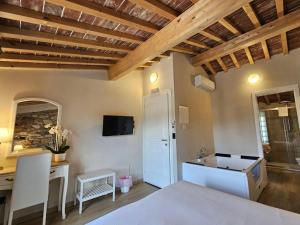 盧卡的住宿－Il Tiglio Jacuzzi&Sauna，一间卧室配有一张床、一张桌子和一个水槽