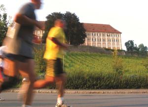 Majutusasutuse Hotel Stainzerhof külastajad