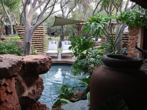 a pool in a garden with chairs and a vase at Monkey Thorn in Roodeplaat