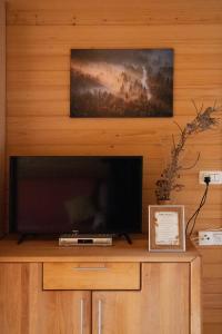 TV i/ili multimedijalni sistem u objektu Apartmaji Skantar