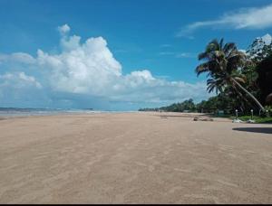 una playa vacía con una palmera y el océano en Lucky Prince Villa, en Aluthgama