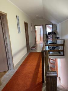 a hallway with an orange rug in a room at Anzoli in Nikšić