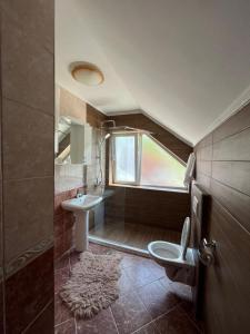 a bathroom with a sink and a toilet and a window at Anzoli 1 in Nikšić +14 photos