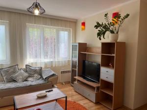 a living room with a couch and a tv at Anzoli 1 in Nikšić