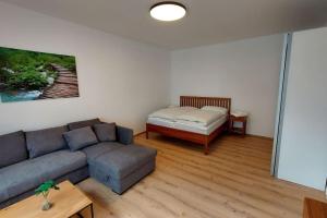 sala de estar con sofá y cama en Appartement Top5b - Budget en Linz