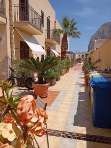 dziedziniec z roślinami, budynkami i palmami w obiekcie Casa vacanza da Samuele w mieście San Vito lo Capo