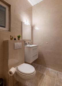 a bathroom with a white toilet and a sink at Apartment Kosljun with pool in Košljun +36 photos