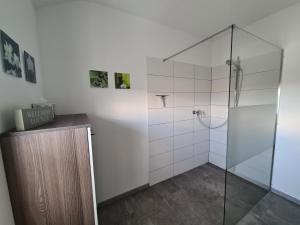 a bathroom with a shower with a glass door at Wolke7 in Erbach
