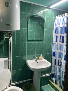 Baño de azulejos verdes con lavabo y aseo en Popas Turistic Alex, en Murighiol