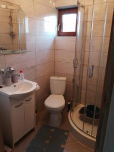 Un baño con inodoro, lavabo y ducha. en Wichrowa Skarpa, en Rusinowo