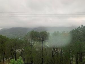 um vale nevoeiro com árvores e montanhas ao fundo em Hotel Pinnacle em Palampur