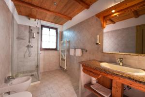 ein Bad mit einem Waschbecken, einer Dusche und einem WC in der Unterkunft Gostilna Pri Martinu in Kranjska Gora