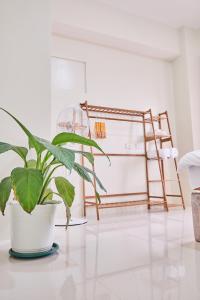 QFandZ Baguio Homestay at BRENTHILL Condominium客房内的一张或多张床位