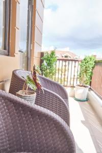 QFandZ Baguio Homestay at BRENTHILL Condominium的阳台或露台