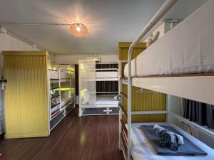 Zimmer mit 2 Etagenbetten und gelben Wänden in der Unterkunft Chiza hostel Chiangmai in Chiang Mai