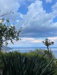 タオルミーナにあるVilla des Arts - Taorminaのギャラリーの写真