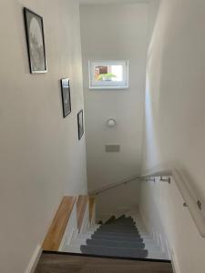 eine Treppe in einem Haus mit Treppenaufgang in der Unterkunft Dům na Kollárce in Znojmo
