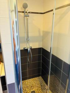 La salle de bains est pourvue d'une douche avec une porte en verre. dans l'établissement Appart. BAILA, proche de Bordeaux et St Emilion, à Libourne
