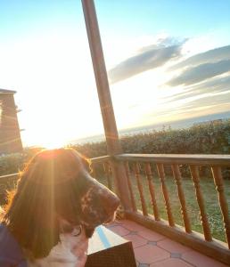 Balkón nebo terasa v ubytování Sea Forever Oceanfront Home Perfectly Saltburn