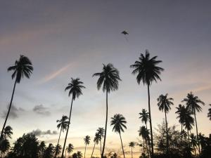 巴佐Zulanie's The Pool Cottage near D'Aur Beach, Melawi, Bachok的相册照片