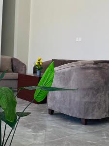 a living room with a couch and a plant at أجنحة دارك للشقق الفندقية in Ad Dawādimī
