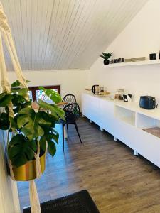 een woonkamer met een plant in een pot bij B&B Casa Dolce Casa in Verona