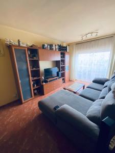 sala de estar con sofá y TV en Completa y Amplia Habitación a 10 minutos de la playa Casa Compartida en Algaida